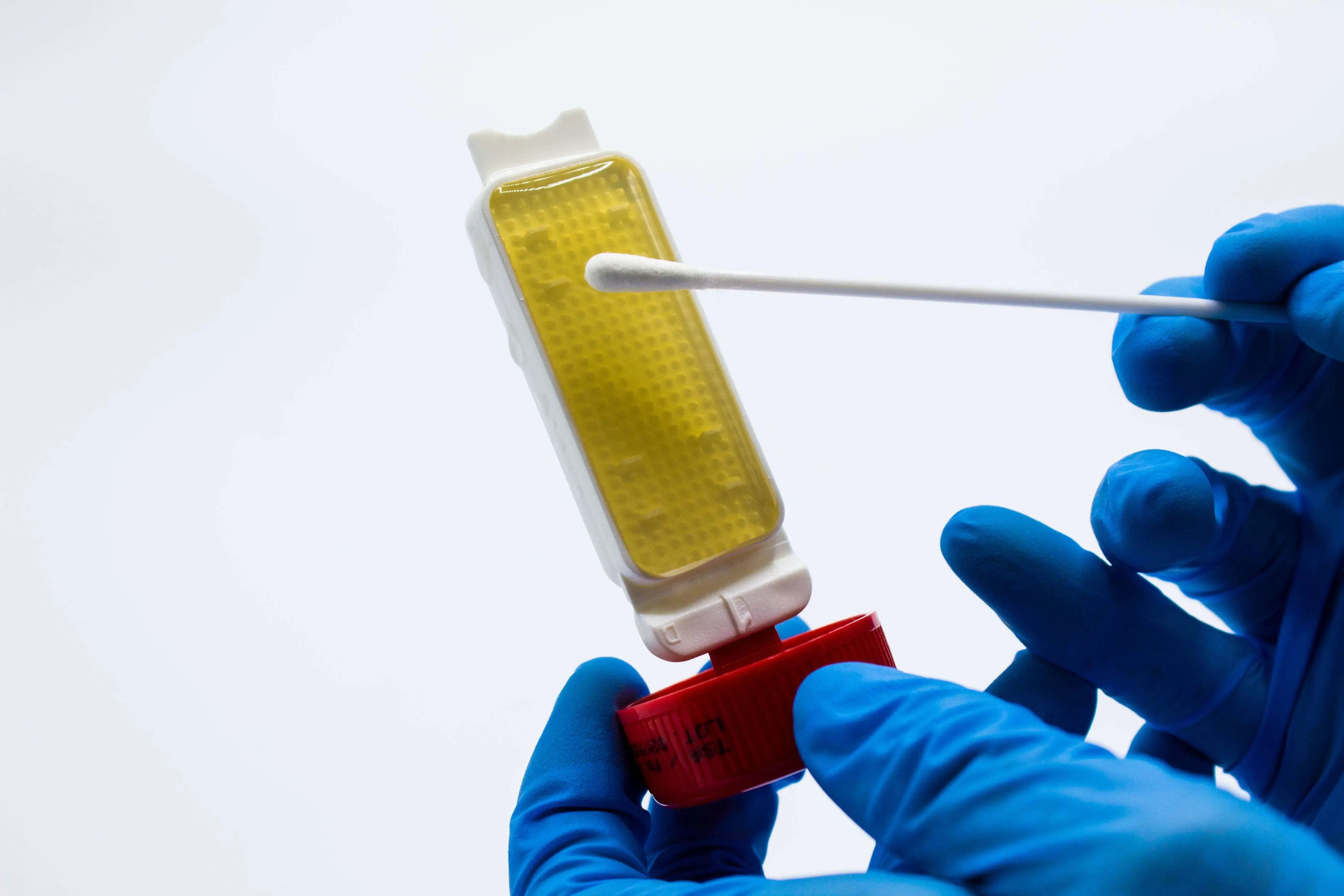 Liofilchem Uritest Malto Biochemical Test Kit 51040