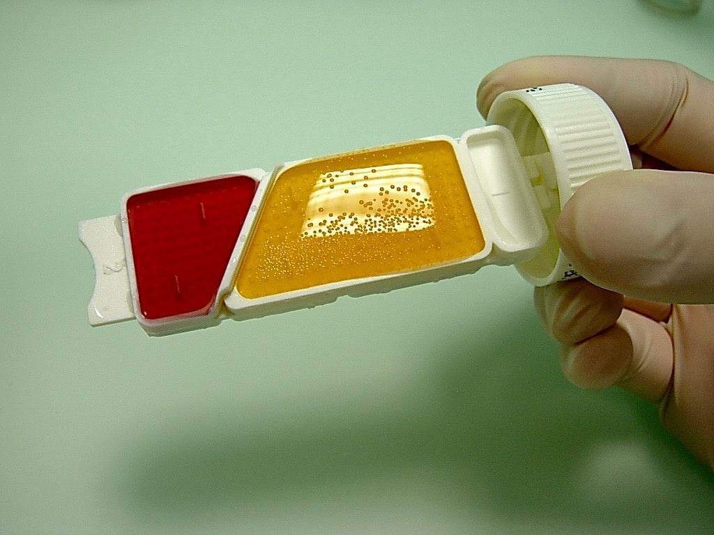 Liofilchem Uritest Penta Biochemical Test Kit 51014