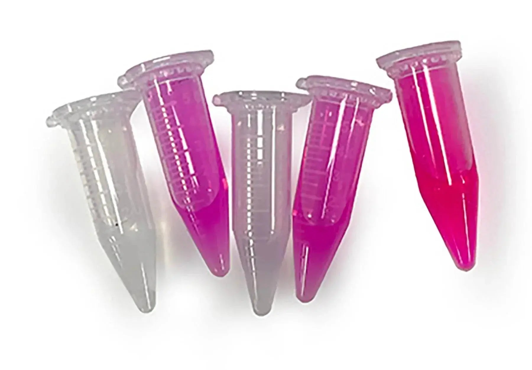 EDVOTEK Biotech Education UNIT Vax to the Future: Developing a Vaccine for a Novel Pathogen