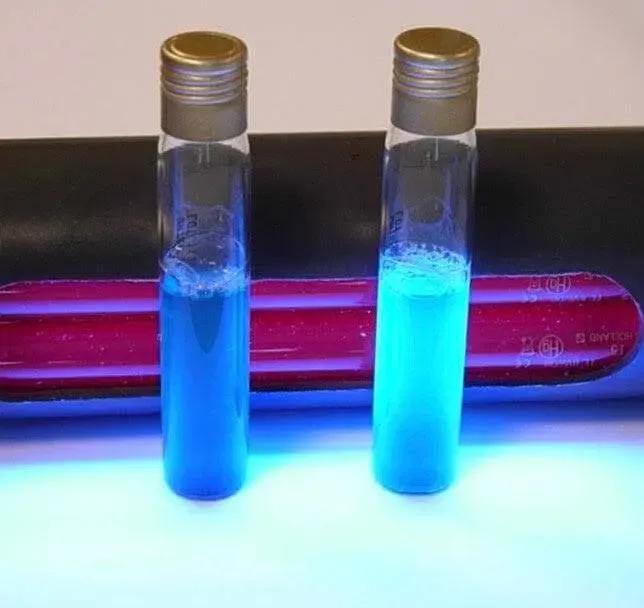 Liofilchem Water Detect Coliforms for 10 mL 630600