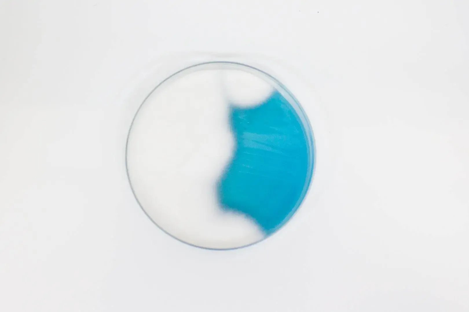 Liofilchem WL NUTRIENT Agar Culture Media 610234